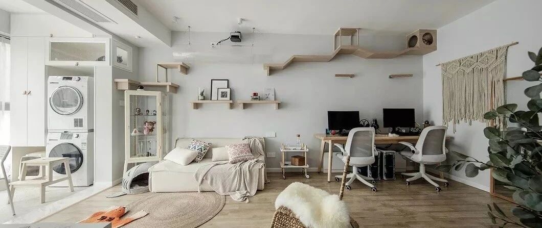 两个日系女孩在60㎡小屋，收纳进了满房杂物，还有4只猫咪主子！