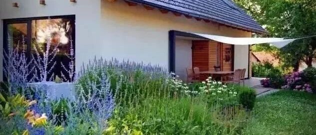 退休后，我想要一个这样的院子，荒度余生！