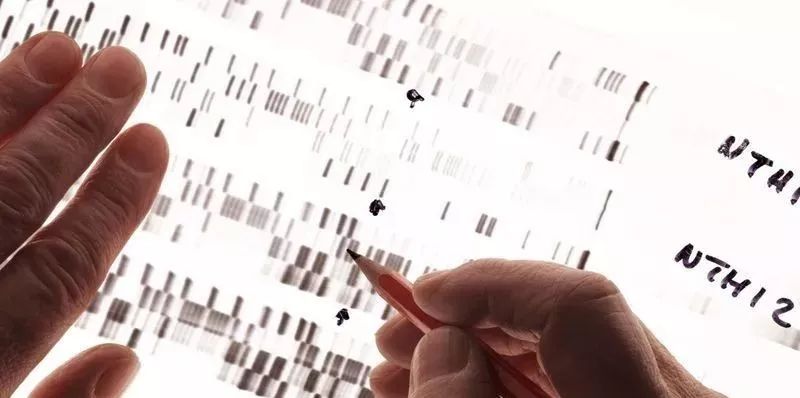 基因檢測能夠預防癌症嗎？ 健康 第5張