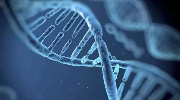 基因檢測能夠預防癌症嗎？ 健康 第2張