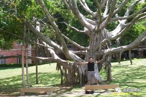 幼师相关专业的创业项目 适合内向女生报考的九大高考专业