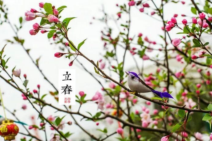 【节气】立春，以立春作为春季开始 - 脉脉