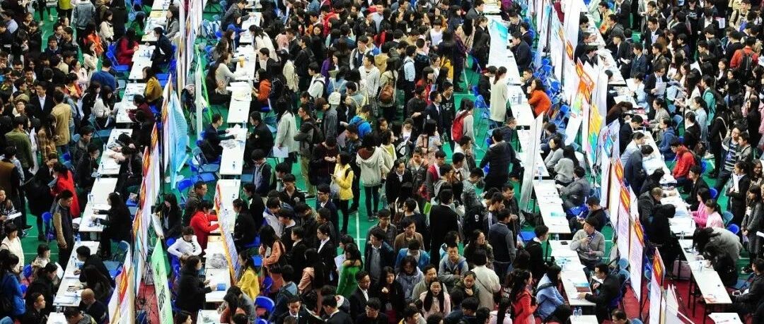 回家乡两天卖板栗70万，清华北大爱进体制，这届毕业生路在何方？