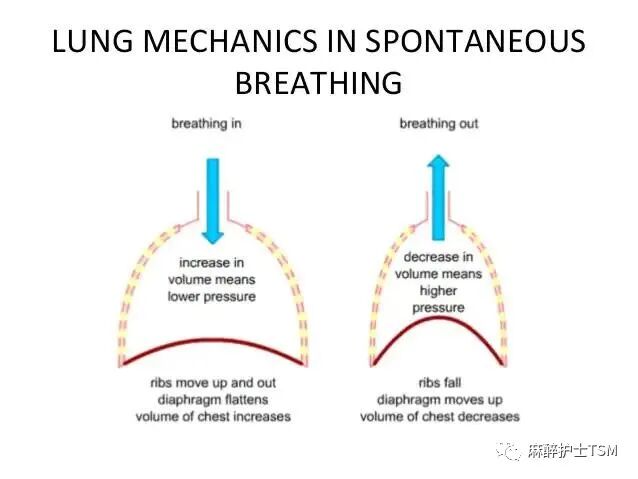 怎么呼吸麻醉麻醉和手术体位 - 呼吸系统的影响_https://www.jmylbn.com_新闻资讯_第1张