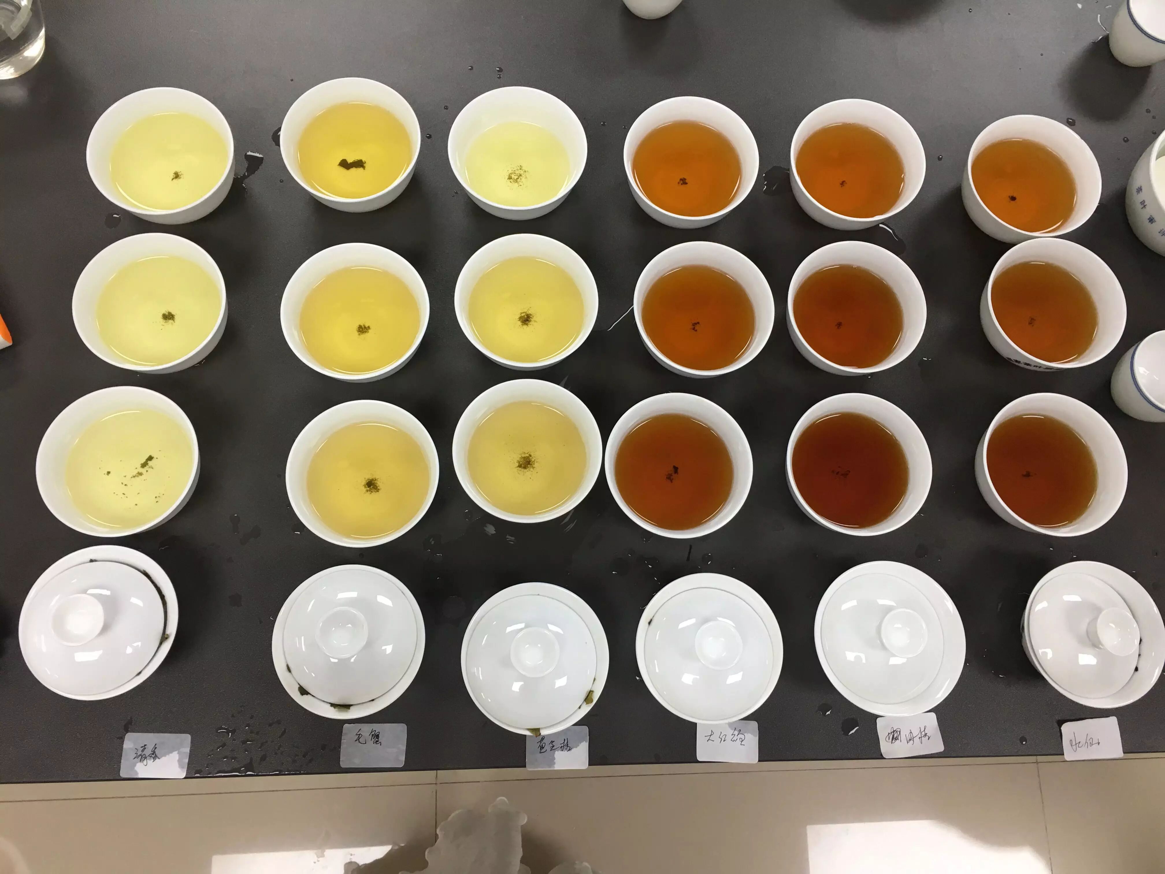 高级评茶员课程回顾专业的乌龙茶审评你想要学的都在这里