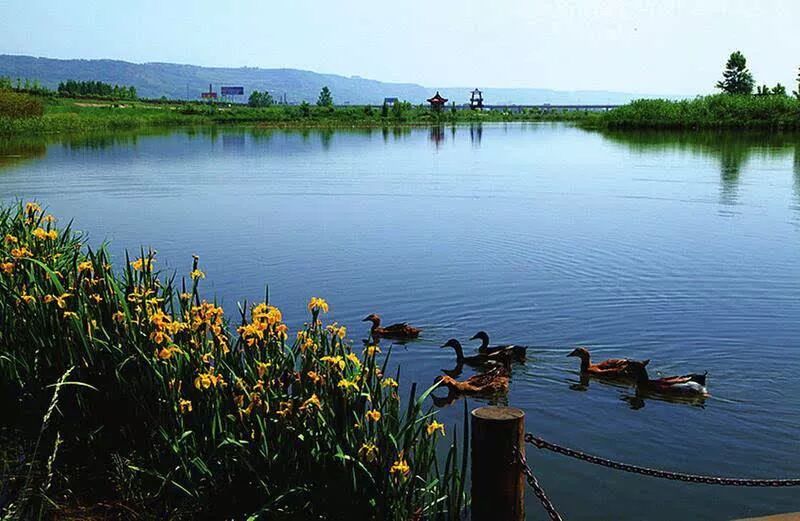 “秋老虎”来了，纳凉+美食都给你安排好了~