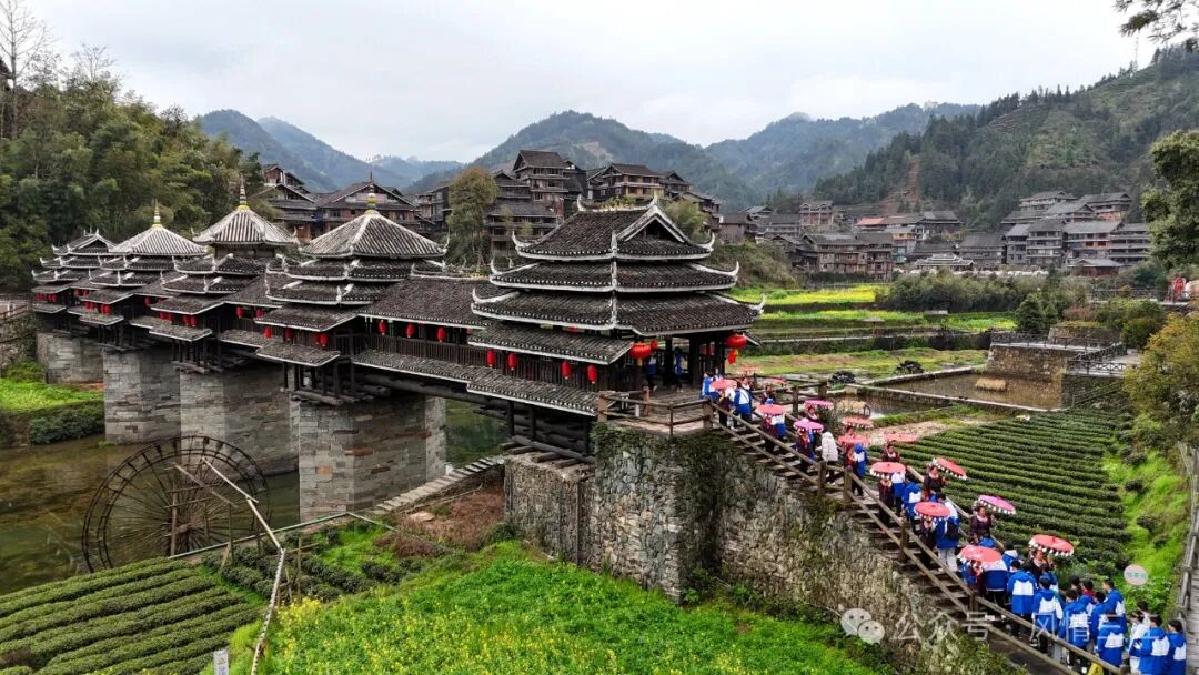 人气爆棚三江迎来研学游热潮