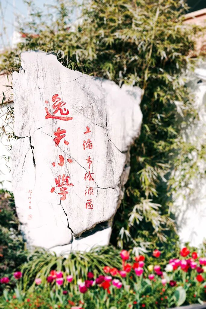 徐汇区逸夫小学 - 文章详情