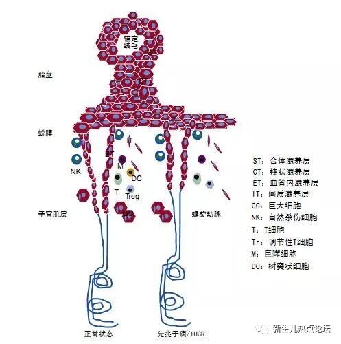 子宮頸部異形成について 東邦大学医療センター大橋病院 産婦人科