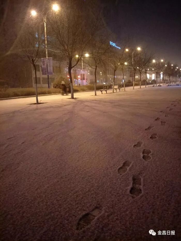 北风那个吹，雪花那个飘，2018年金昌的第一场雪如期而至