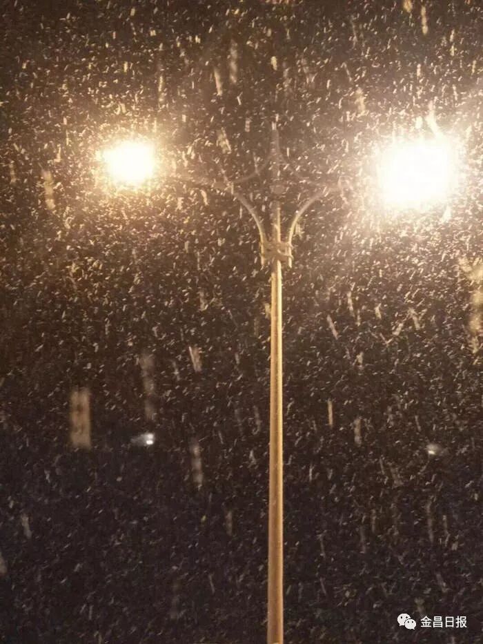 北风那个吹，雪花那个飘，2018年金昌的第一场雪如期而至