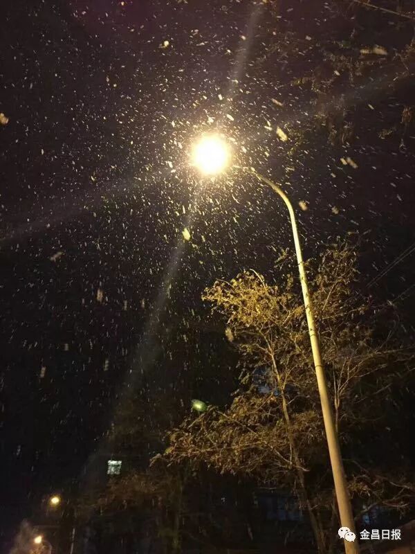北风那个吹，雪花那个飘，2018年金昌的第一场雪如期而至