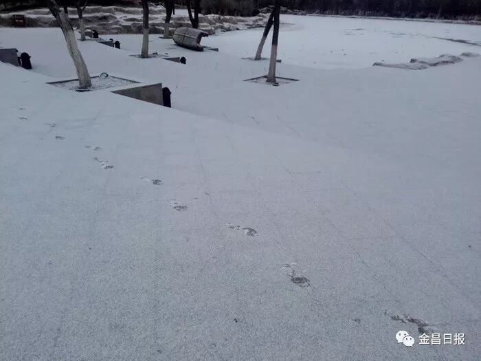 北风那个吹，雪花那个飘，2018年金昌的第一场雪如期而至