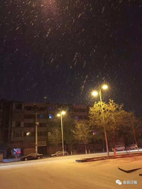 北风那个吹，雪花那个飘，2018年金昌的第一场雪如期而至