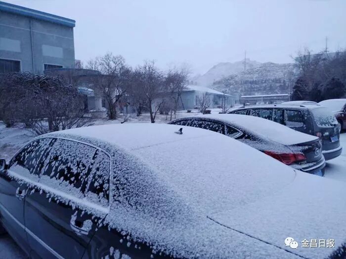 北风那个吹，雪花那个飘，2018年金昌的第一场雪如期而至