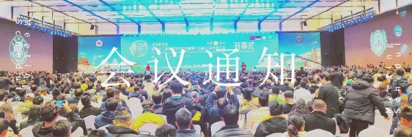 卷棉子怎么用微型手术局部用药怎么用？一文为你解答！_https://www.jmylbn.com_新闻资讯_第2张