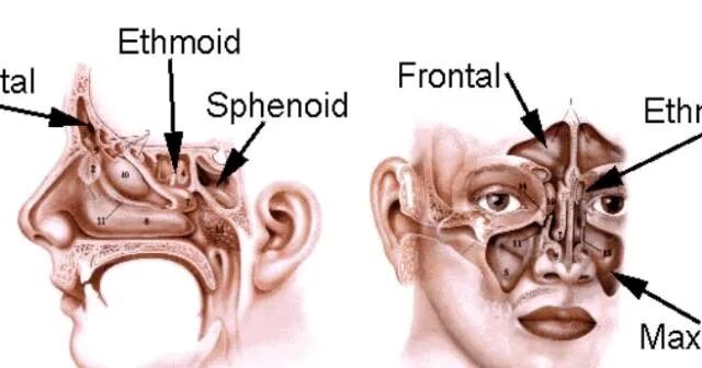 操作鼻窦镜时怎么摆基础必备 丨 鼻内镜鼻窦手术的操作过程详解_https://www.jmylbn.com_新闻资讯_第1张