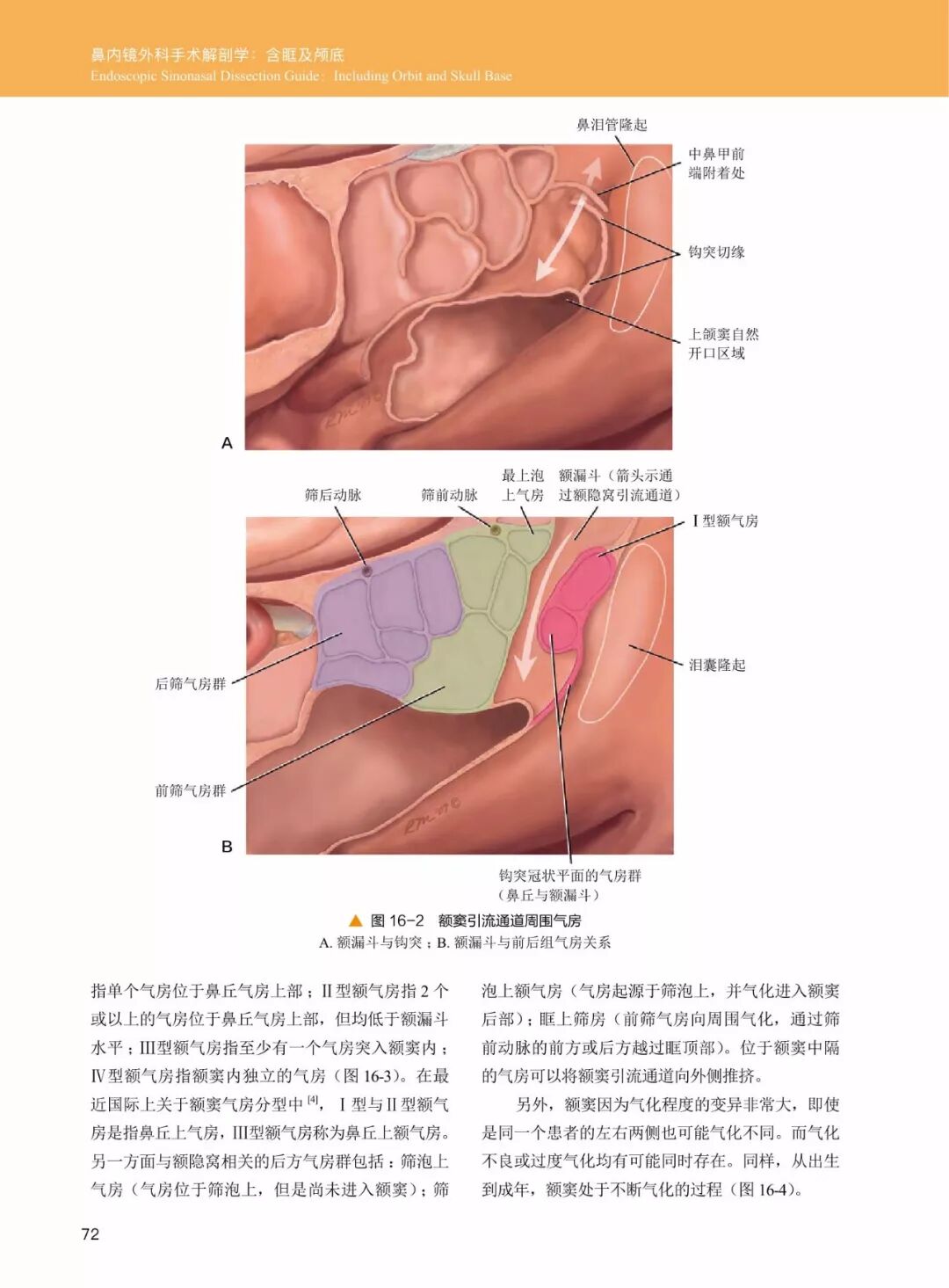 操作鼻窦镜时怎么摆30年鼻内镜手术独特经验！解剖标识、手术径路、外科操作技术还有比这更全的么？_https://www.jmylbn.com_新闻资讯_第12张