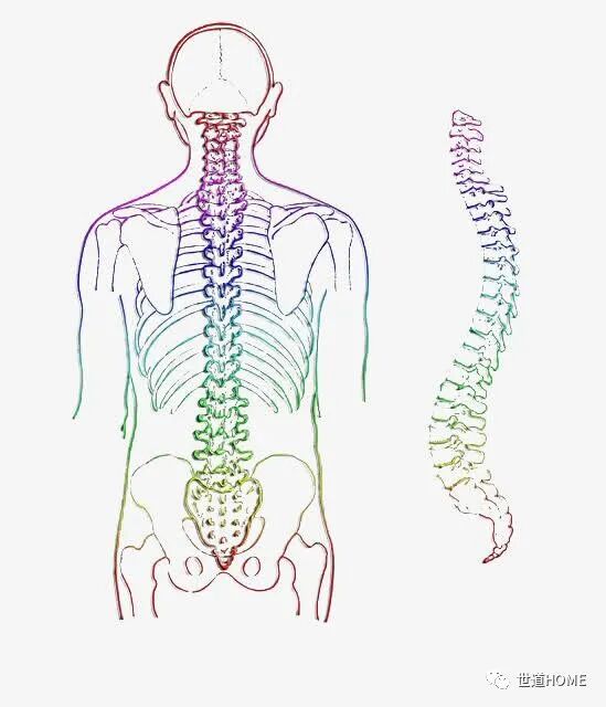 老年人床用什么床老人家睡什么床垫合适？_https://www.jmylbn.com_新闻资讯_第3张