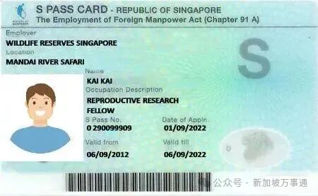 新加坡移民各类准证介绍，对应申请条件有哪些？_移民留学资讯_资讯中心_移路通出国