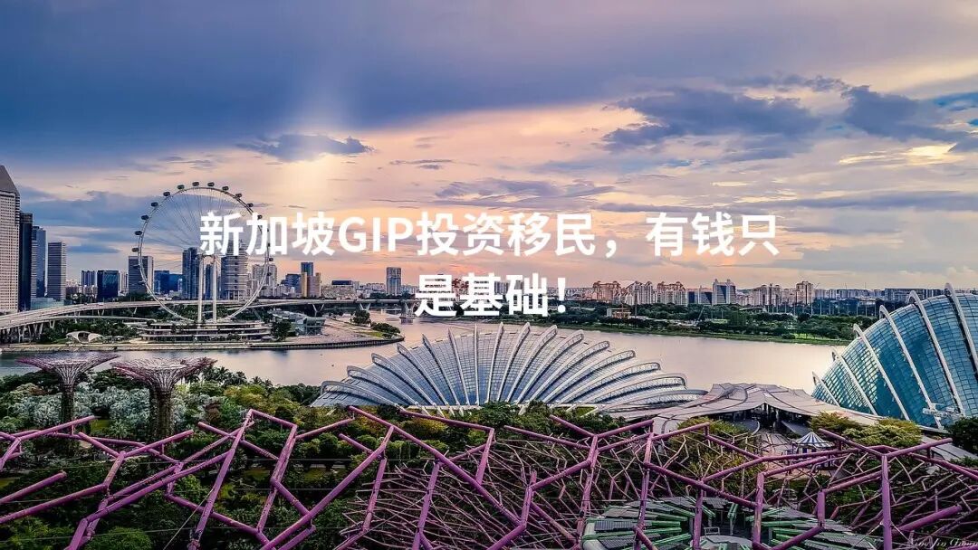 新加坡GIP投资移民，有钱只是基础！_楹进集团