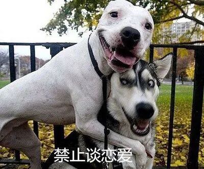 【爆笑】笑懵！全国教师统一台词曝光，你老师肯定也说过，哈哈哈（视频/组图） - 7