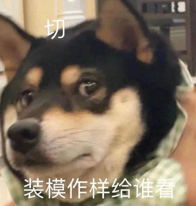 【爆笑】年后别总逼自己去减肥，否则……哈哈哈哈哈（视频/组图） - 24