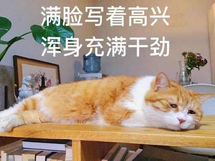 【爆笑】年后别总逼自己去减肥，否则……哈哈哈哈哈（视频/组图） - 32