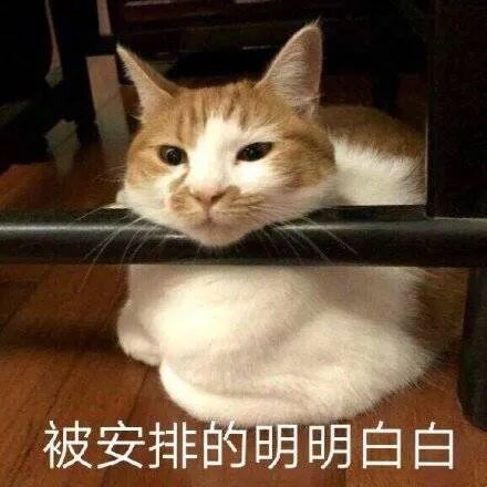 【爆笑】年后别总逼自己去减肥，否则……哈哈哈哈哈（视频/组图） - 28