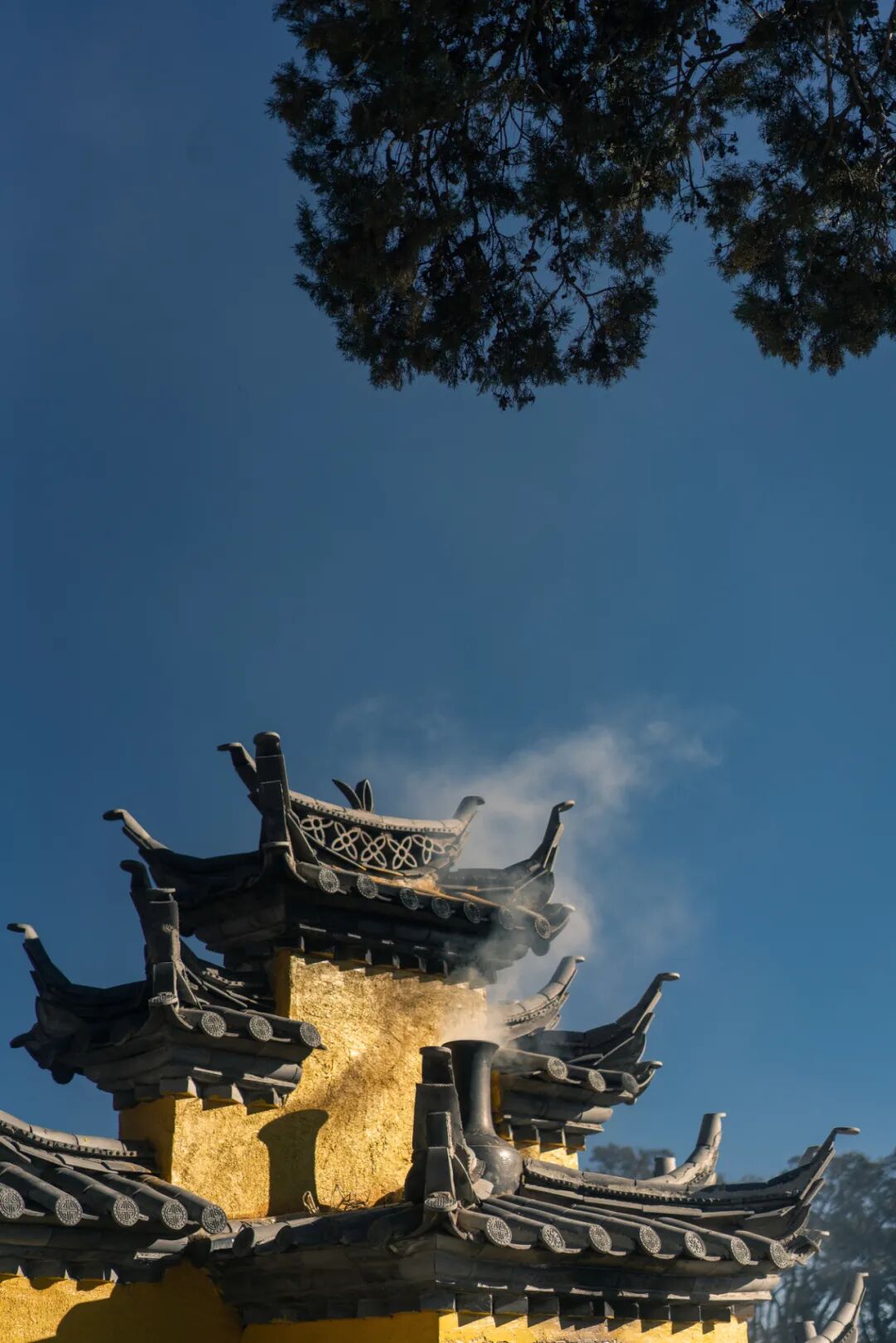 ������������Ϊʲô��������ȥ�Ĳ�һ����