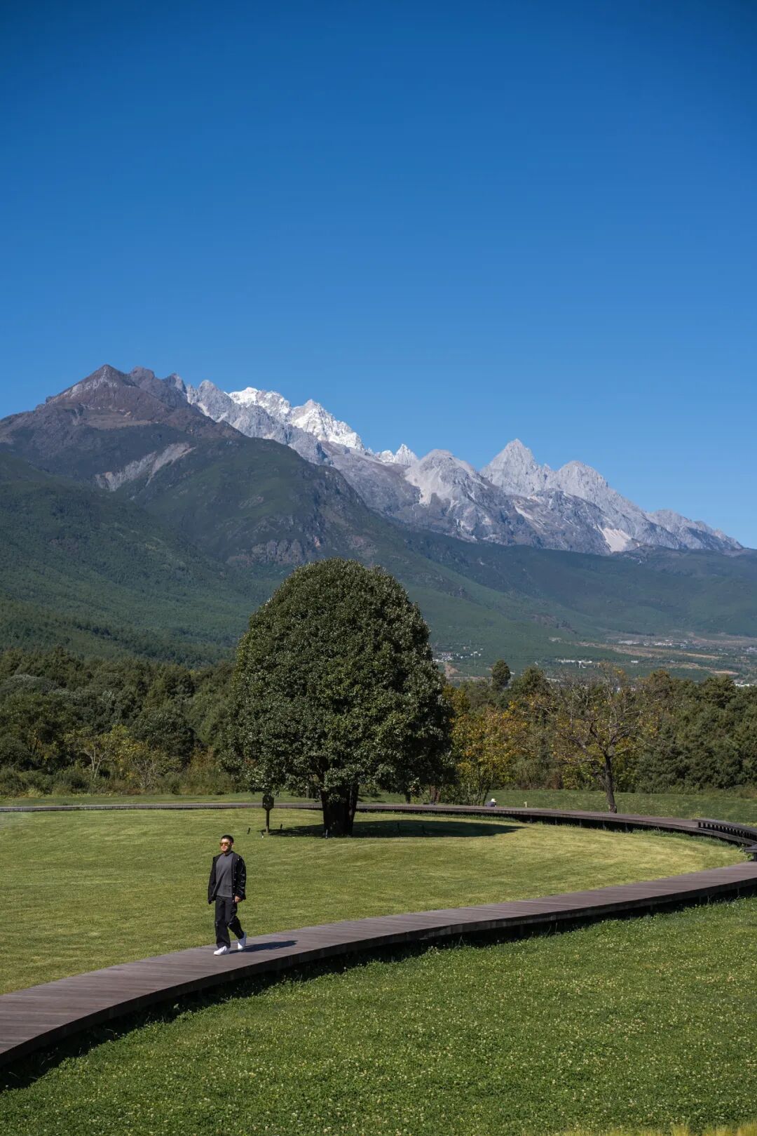 ������������Ϊʲô��������ȥ�Ĳ�һ����