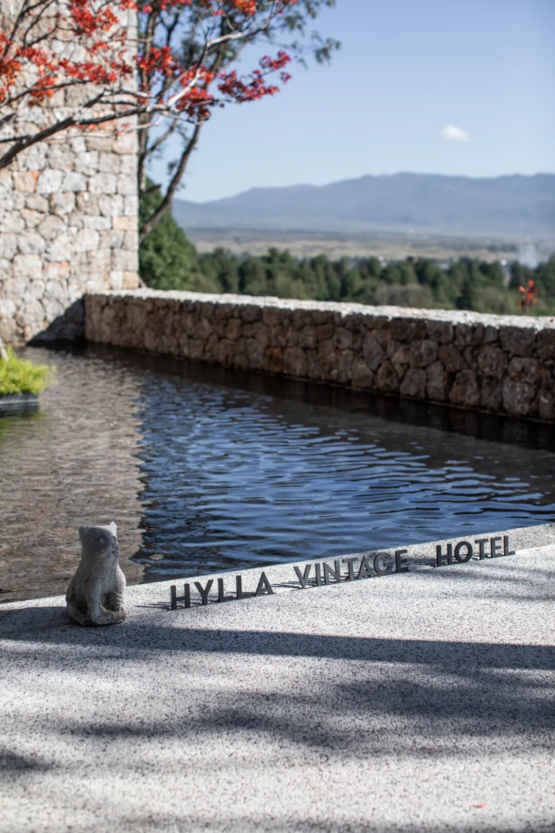 ������������Ϊʲô��������ȥ�Ĳ�һ����