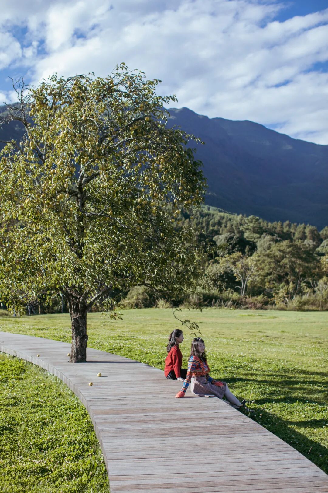 ������������Ϊʲô��������ȥ�Ĳ�һ����