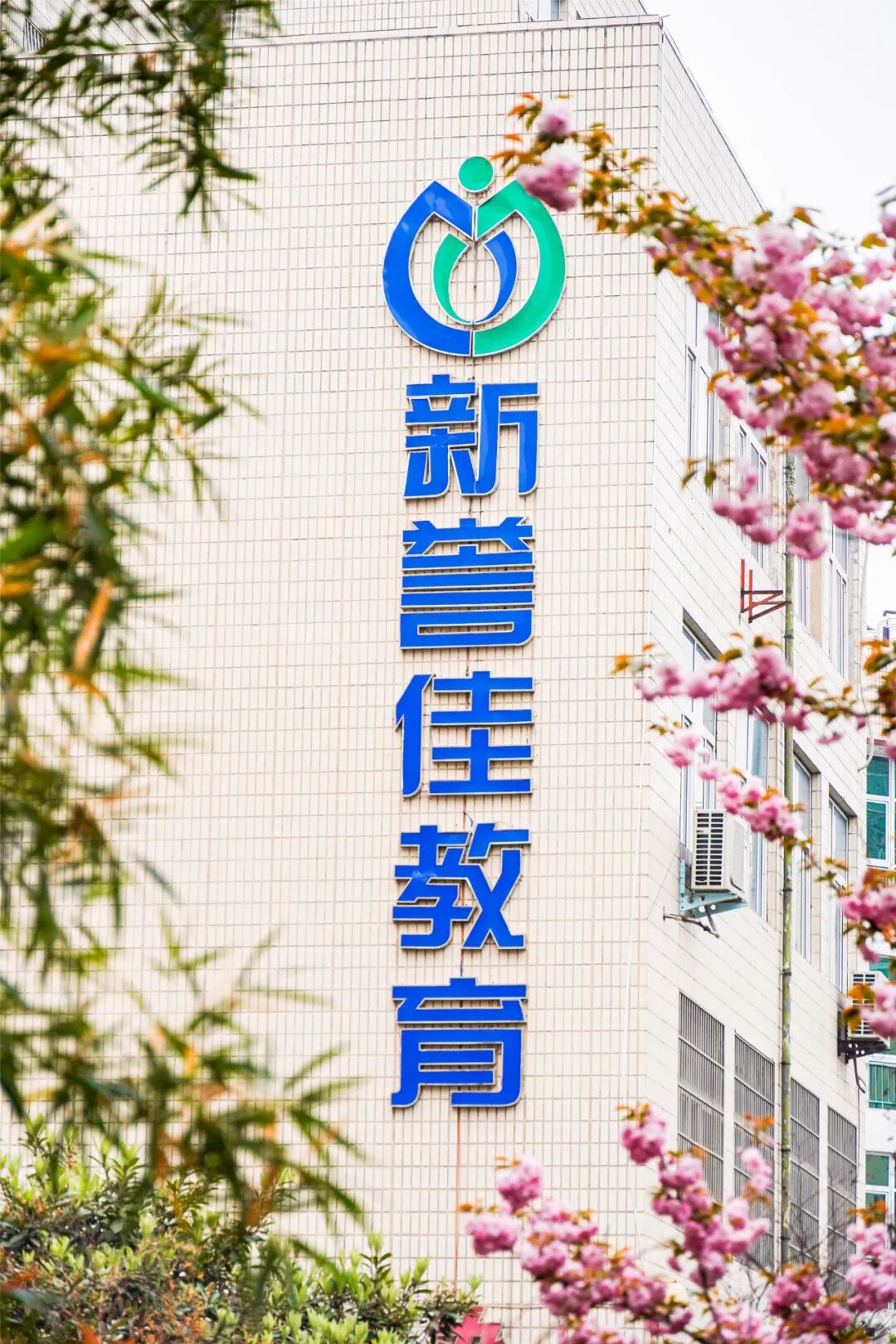 的印记,成长的足迹--毕业照花絮-新誉佳高中-新乡市新誉佳高级中学