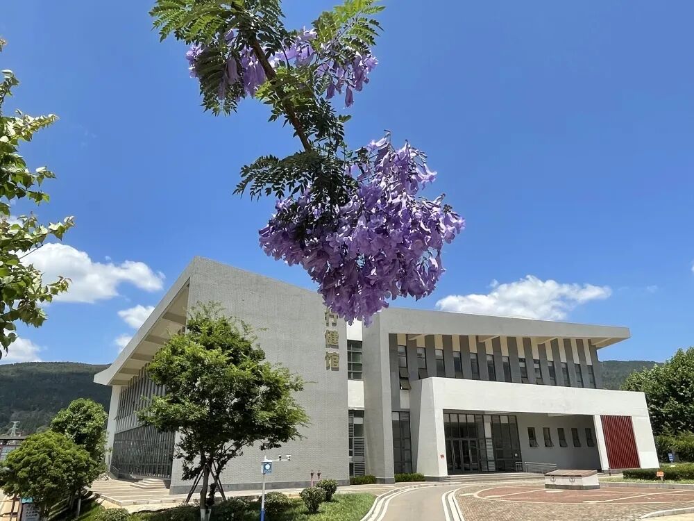 花香满溢书香校园黄冈中学昆明分校初印象