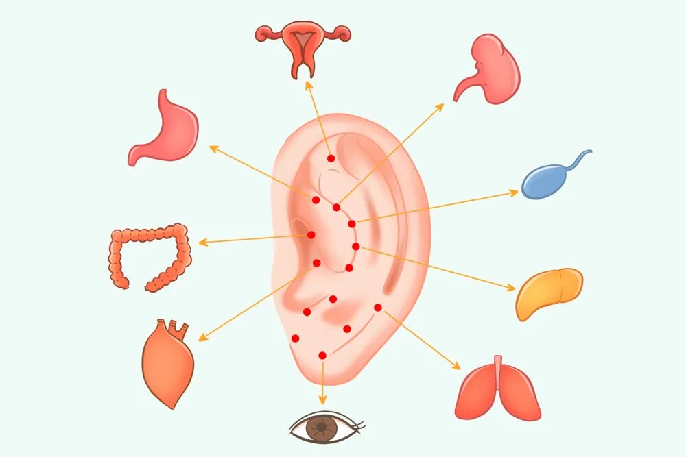 耳穴探测笔怎么使用智能耳穴仪：中医与科技碰撞出的小仪器大功能_https://www.jmylbn.com_新闻资讯_第5张
