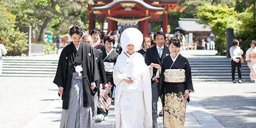 在参观神社时 你很有可能会遇到这惊喜的一幕 Aim霓虹社 微信公众号文章阅读 Wemp