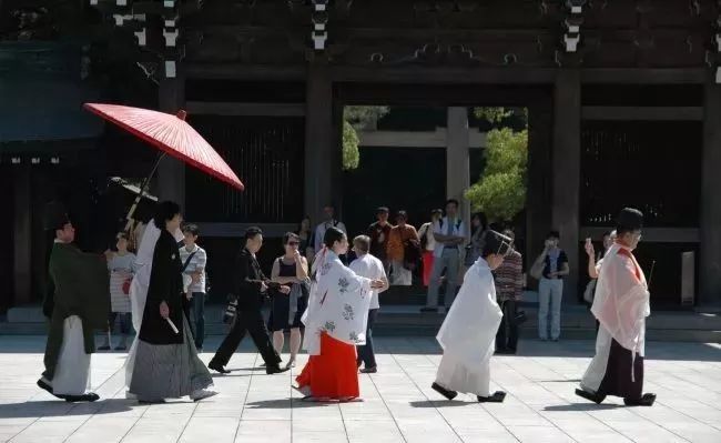 在参观神社时 你很有可能会遇到这惊喜的一幕 Aim霓虹社 微信公众号文章阅读 Wemp