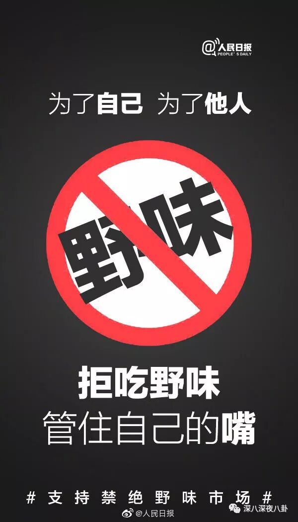 武汉封城的这9天——荒谬与人性的光芒（组图） - 4