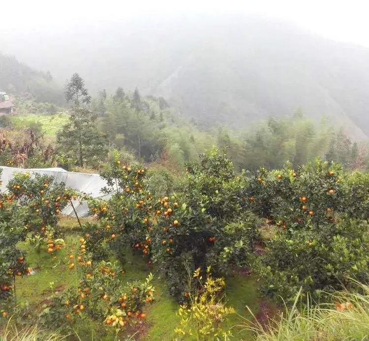 鄭州大家印紙抽盒印刷_青島 包裝 印刷_桂林包裝盒印刷