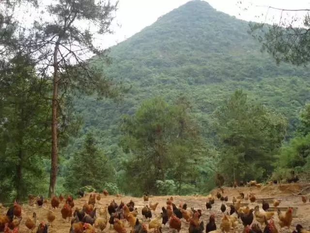 鄭州大家印紙抽盒印刷_桂林包裝盒印刷_青島 包裝 印刷