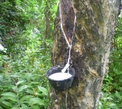 640?wx_fmt=jpeg&tp=webp&wxfrom=5&wx_lazy=1&wx_co=1