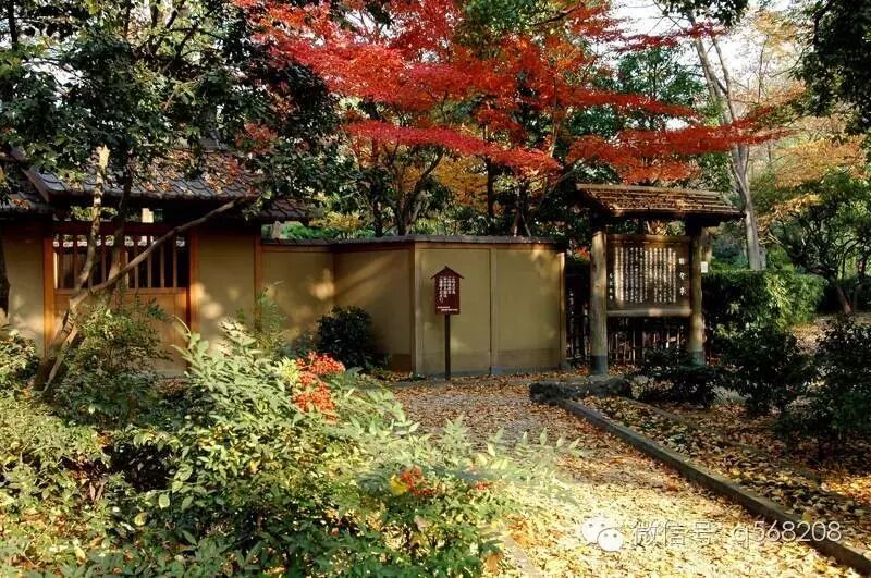 居家小庭院，恬静舒适