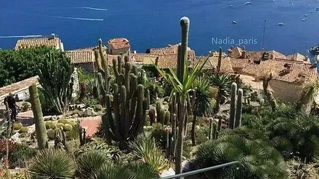 花十万元，建一个你想要的花园？