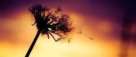 2020已过半，这半年，你累吗？