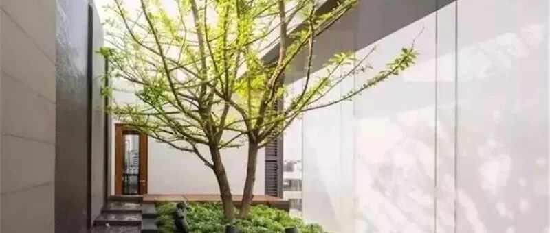 院子 · 每一个角落都是风景