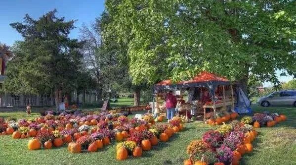 三五知己，一处小院，择邻而居