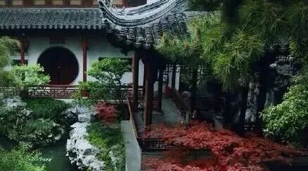 看苏式园林庭院中植物与山石的微妙关系！