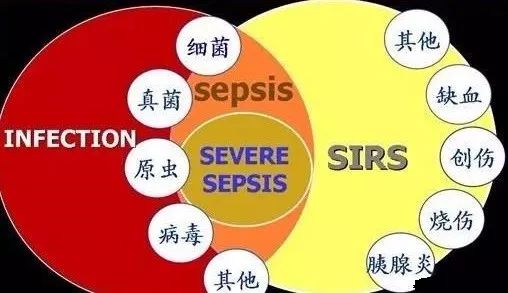 我的女兒，由發燒開始，與死亡擦肩而過... 親子 第11張