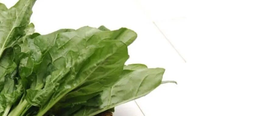 春天最适合吃这种滋补蔬菜！平价又养人！